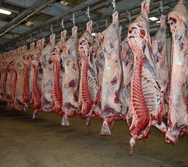 تصفیه فاضلاب کشتارگاه