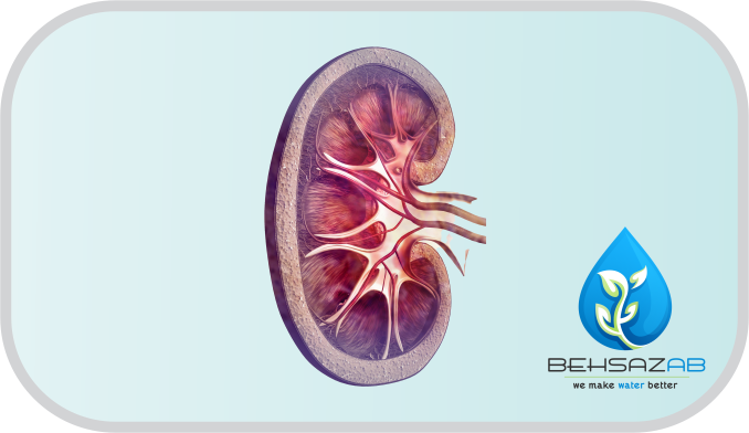بهترین آب برای سلامت کلیه