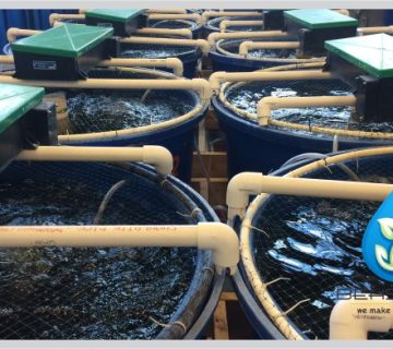 پکیج تصفیه فاضلاب انسانی