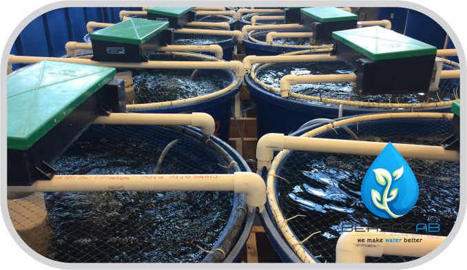 پکیج تصفیه فاضلاب انسانی