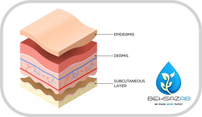 تاثیر آب بر پوست