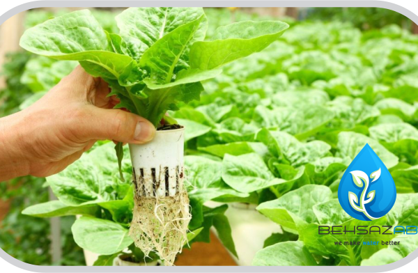 آب مناسب برای کشت هیدروپونیک