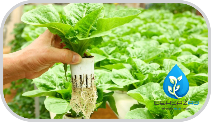 آب مناسب برای کشت هیدروپونیک