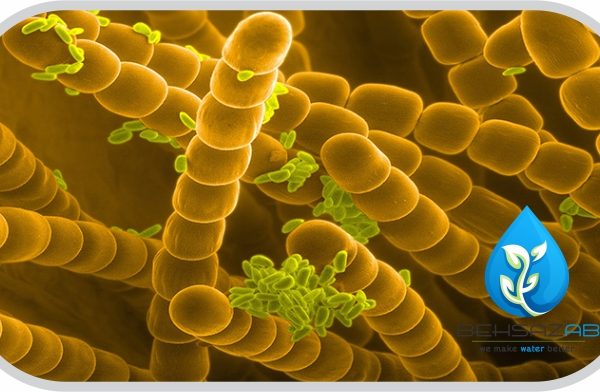 کاربرد آنزیم ها در تصفیه فاضلاب