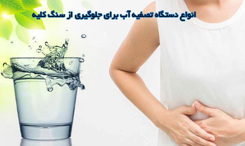 انواع دستگاه تصفیه آب برای جلوگیری از سنگ کلیه