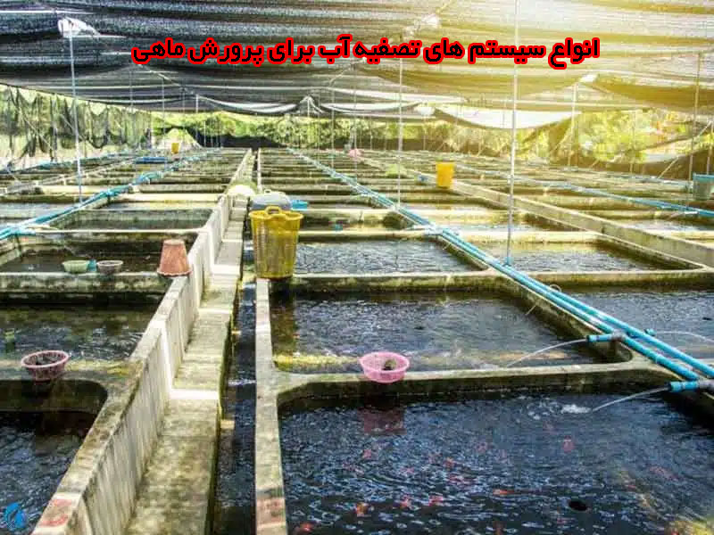 انواع سیستم های تصفیه آب برای پرورش ماهی