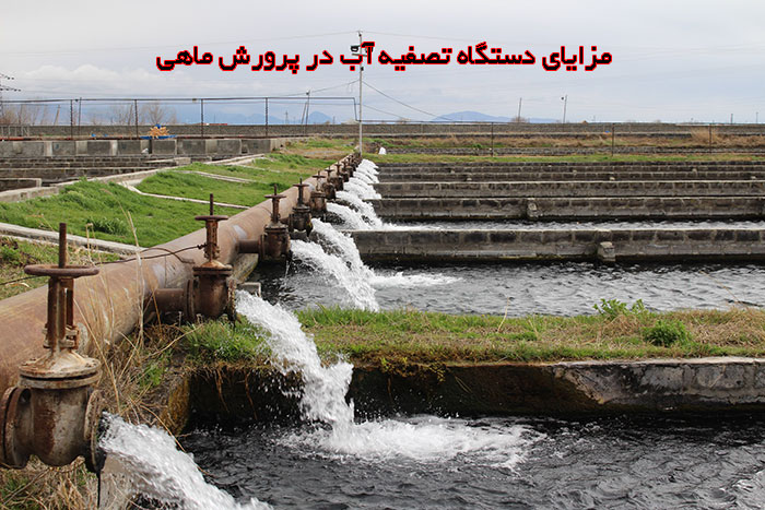 مزایای دستگاه تصفیه آب در پرورش ماهی